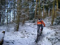 February snow on Clent