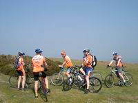 Hergest Ridge