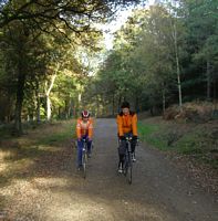 Wyre Forest Autumn 2006